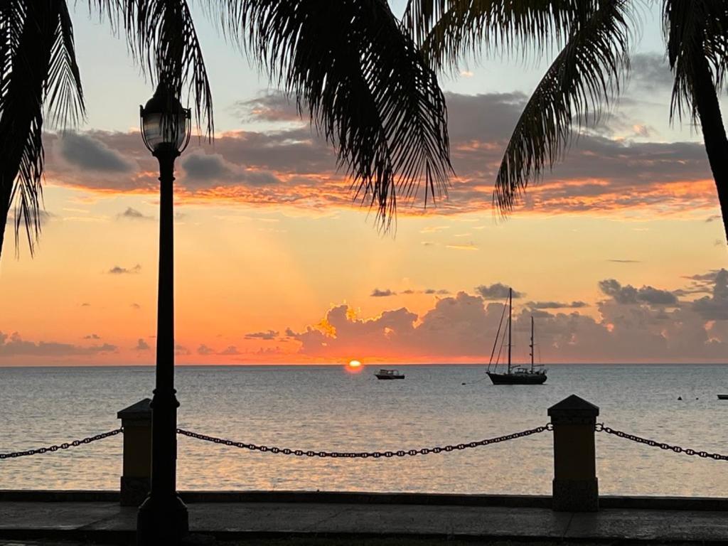 Victoria House Otel Frederiksted Dış mekan fotoğraf